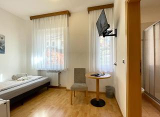 Hotel Garni Grüner Baum (Albero Verde) - 3