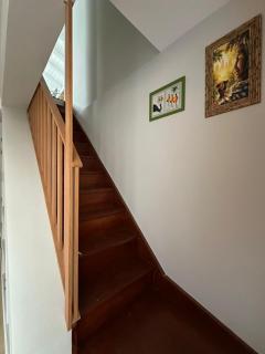 Cobertura com vista para Morro das Feiticeiras - Florianópolis - 2