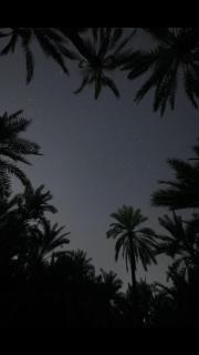 Spellbound in Siwa - Siwa - 3