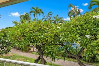 Napili Shores D227 · NS D227 OceanFront Resort w Pool - 2