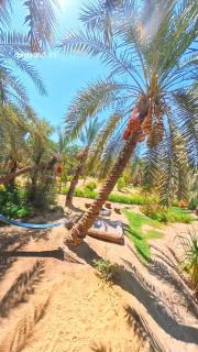 Spellbound in Siwa - Siwa - 5