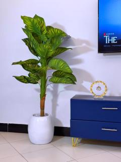 Mody Haven - 6