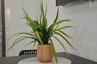 Silver Gray Retreat - 8