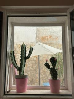 Luca's home - University-centre-metro - 7