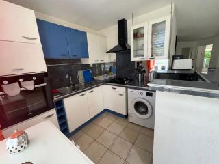 Colibri Creole Le Moule - 3