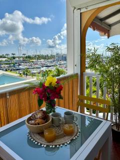 Duplex- Terrasse vue Mer, Piscines, Lagon, Plages, Jardin tropical - 8
