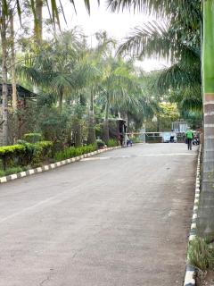 Comfort Haven - Bugolobi D4 - 6