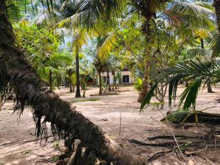 Sun Ray Beach Villa - 2