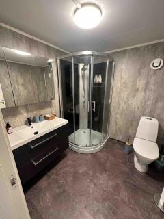 Apartment in Storsteinnes city center - 4