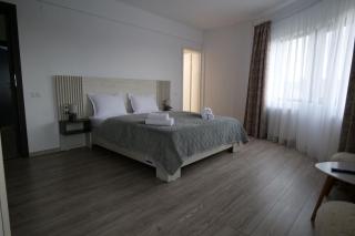 Pensiunea Agroturistica Darius - 9