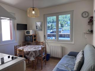 Charmant T2 à Cauterets avec vue montagne et parking - FR-1-812-143 - 7