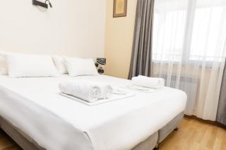 Central Yerevan 2-Bedroom Flat With Balcony - Erevan - 5