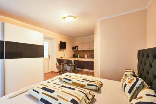 Silent Apartments in Historic Building w Free Parking - 7