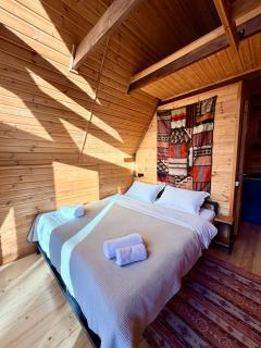 Kazbegi Kuro Cottages - 1