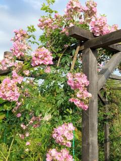 Le ptit nid aux Gouttes - 6