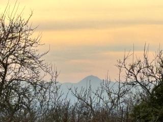 Le ptit nid aux Gouttes - 4