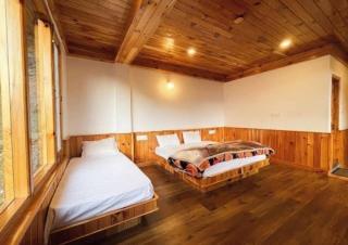 Dharamkot Heaven Luxury Tent - 5