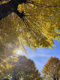 Il Nido Di Montagna - 7