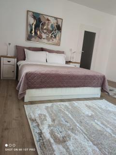 Theo House One - Sibiu - 4