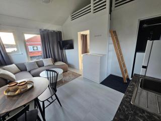 Aurora Jukkas Lodge 2 - Arctic Suite - 4
