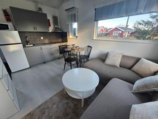 Aurora Jukkas Lodge 2 - Arctic Suite - 1