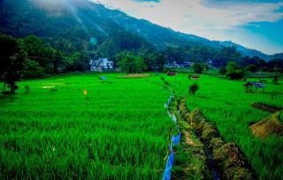 Village Breeze Cabana - 5