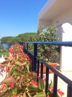 Hotel Victoria Place - Anacapri - 2