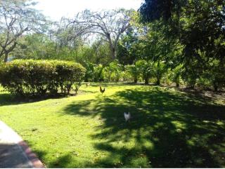 Boca Chica Resort 635 - 6