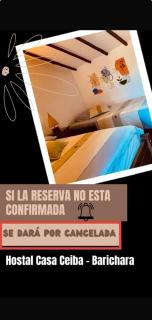 Hostal Casa Ceiba - 8