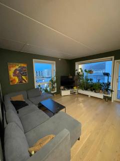 Green oasis, close to the city centre with good bus connections - 2