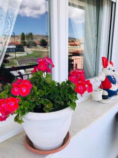4 Seasons Suites Paradise Athens Airport - 5