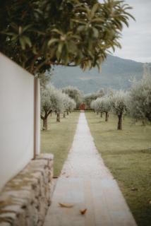 Vivere Suites & Rooms - 9