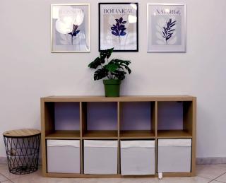 Olympic Hidden House - 3