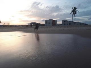 Golden Hour Homes - 9