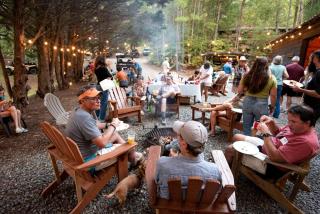 Great Cabins Ideal for Groups Getaways in Copperhill, Tennessee - 8