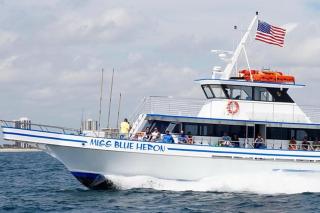 Your Perfect Beach Gateway - 3