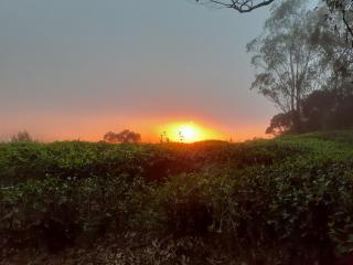 Happy tasty kitchen - 4