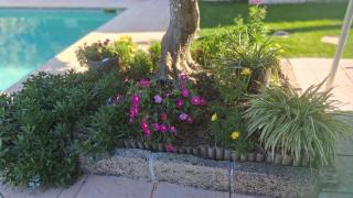 le jardin de mae - 5