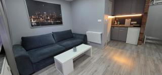 PDS Apartament Katowice - 9