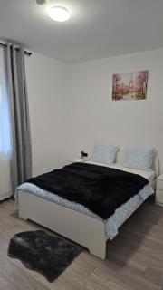 Casa 2 Magurele - 2