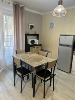 Appartement T2 tout confort Amélie-les-Bains - 1
