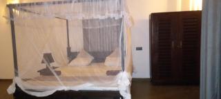 Calm Villa - 8