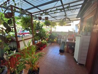 וילה באשקלון - 6