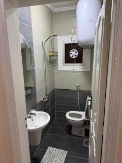 Nilefront Apartment in Maadi - 3