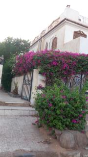 Cozy lovely studio 2 - 4