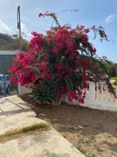 posada villa mercedes - 2