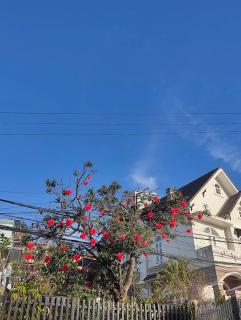 Amy Hotel & Apartment - 8