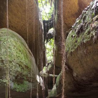 Paroá Amazon Lodge - 7