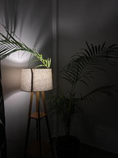 Oak & olive homestay - 4