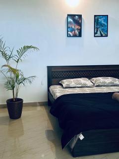 Oak & olive homestay - 3